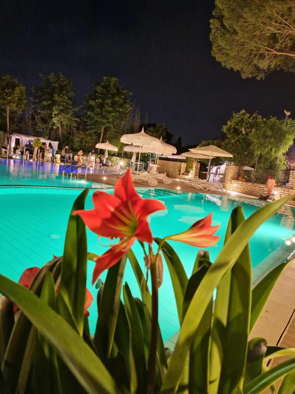 Villa Rossana Cenaia Exterior foto